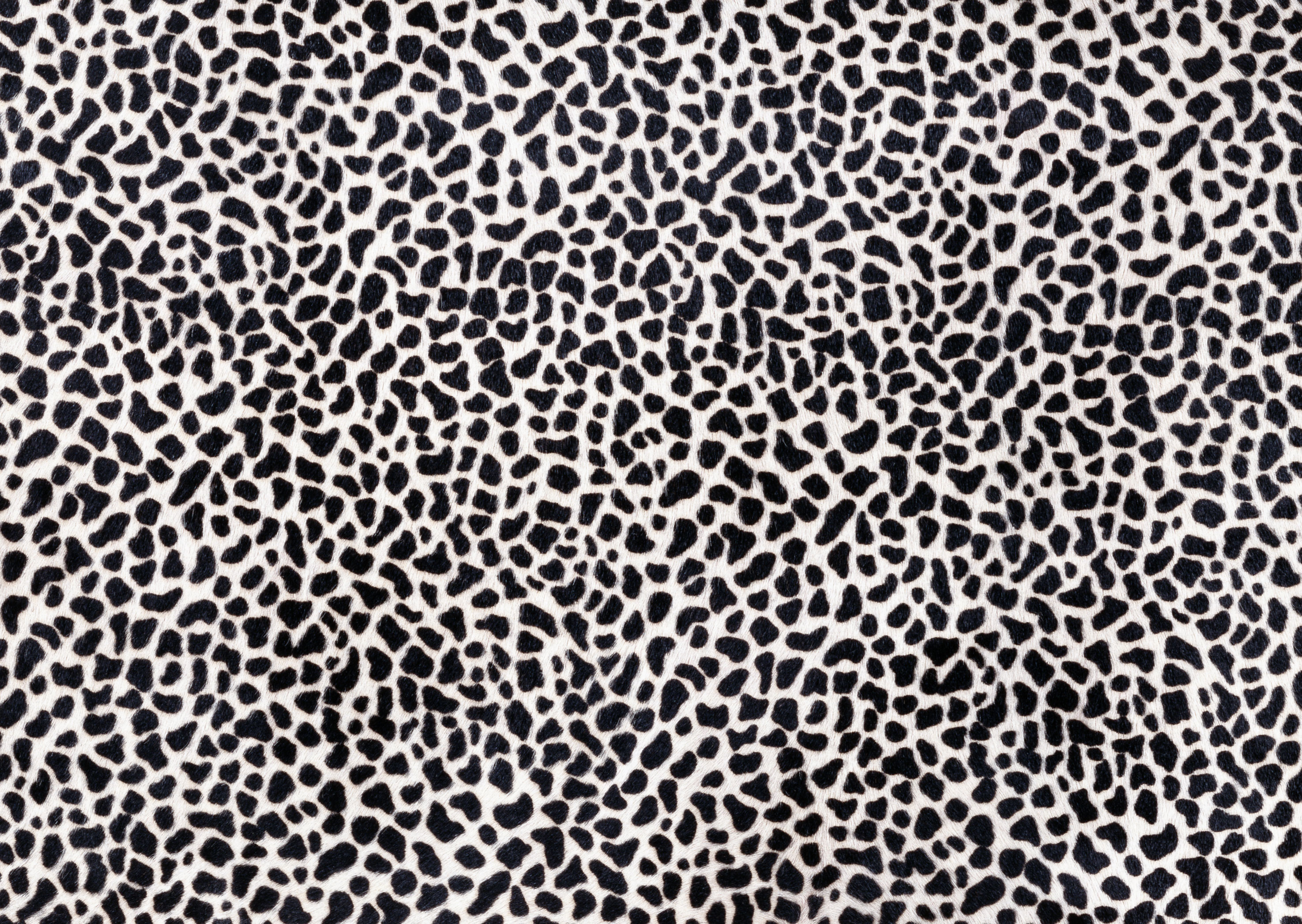 animal leopard skin texture, background