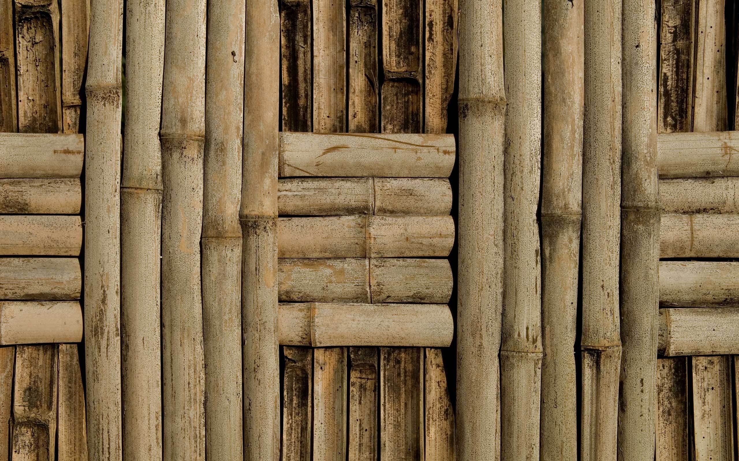 bamboo, texture bamboo , bamboo texture, photo, background