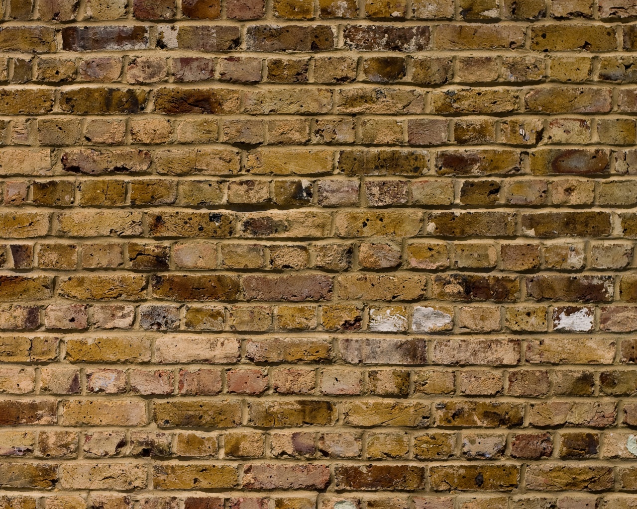 old brick wall, download photo, background, texture, old brick wall