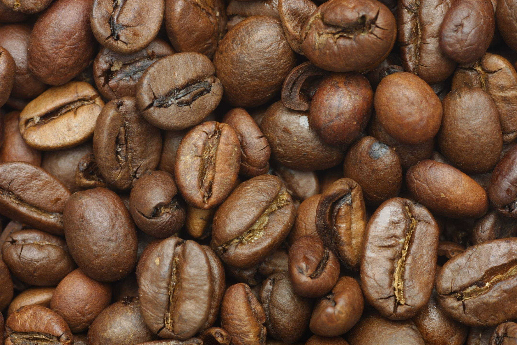 coffee, coffee beans, download photo, background, coffee, texture