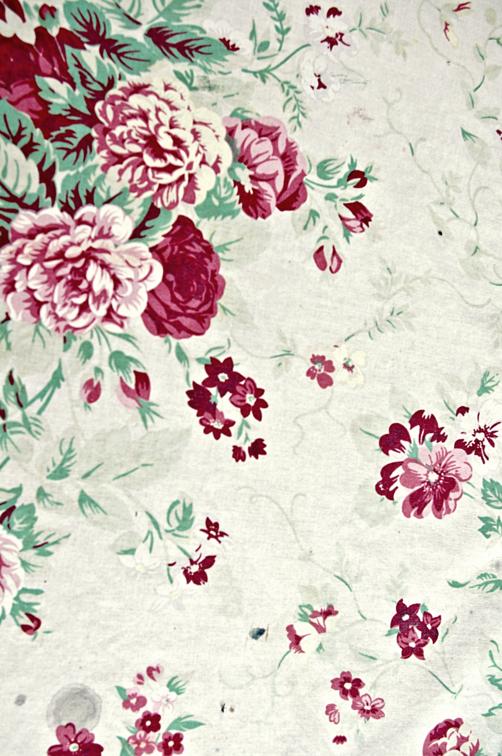 texture, flowers, flower background, flower texture