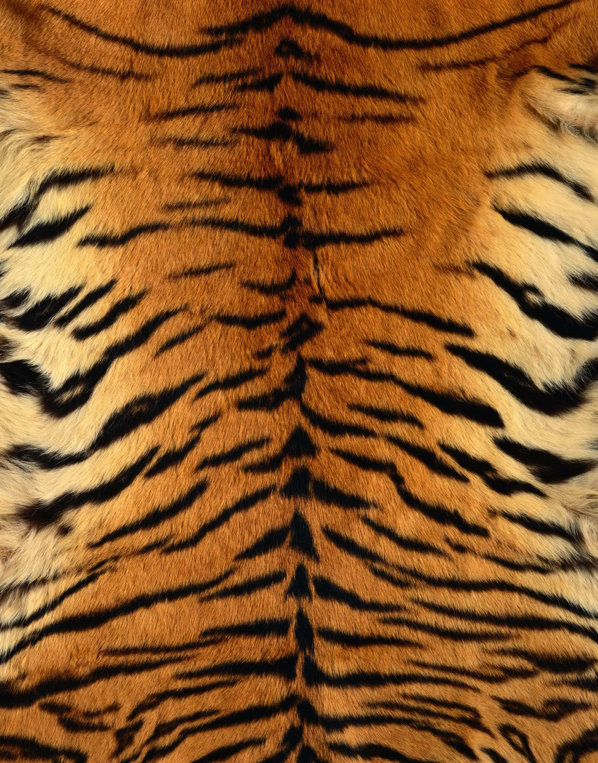  , skin tiger , download photo, texture fur, tiger fur texture background, background