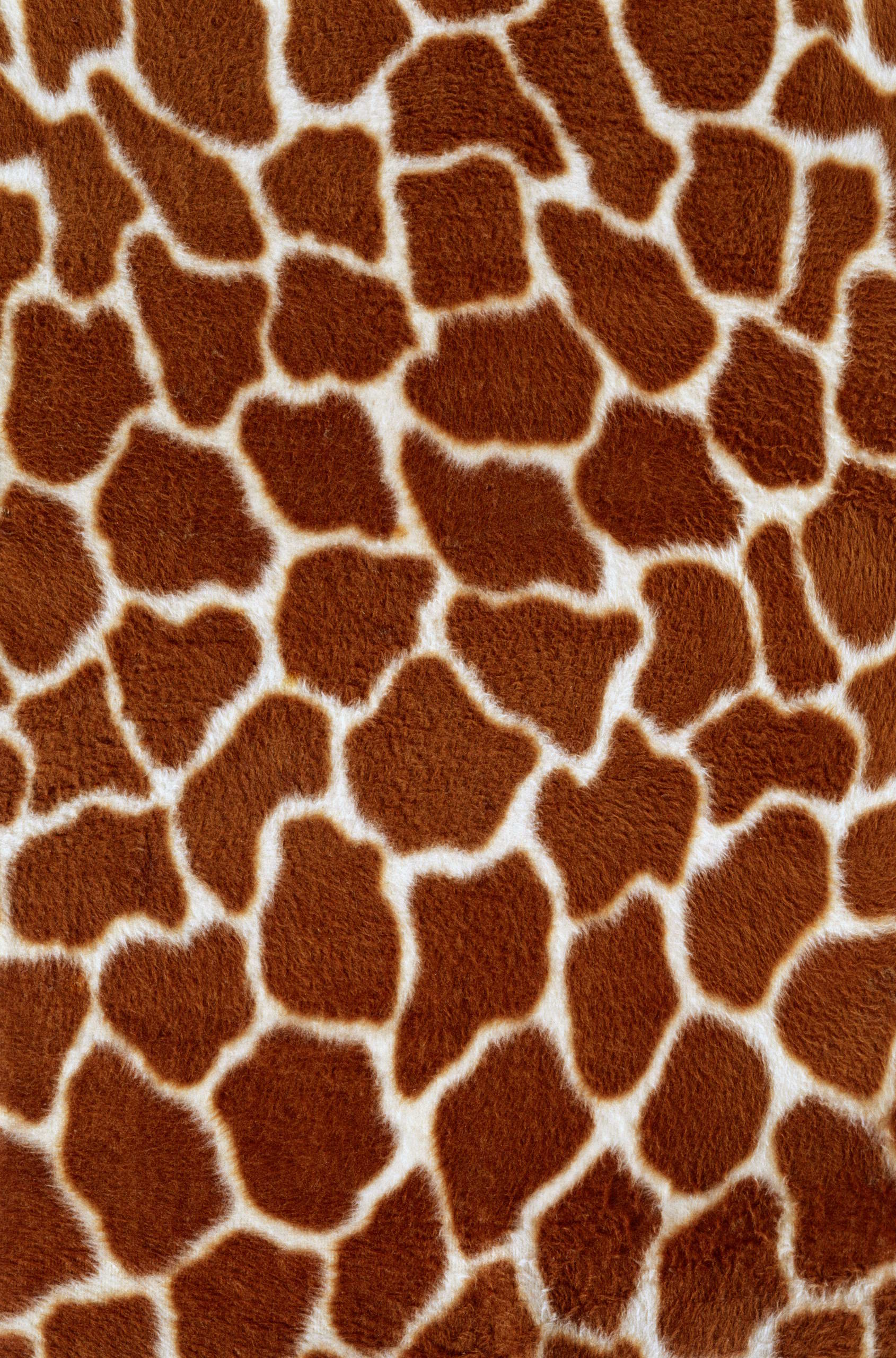  , skin giraffe, texture fur, fur texture background, background