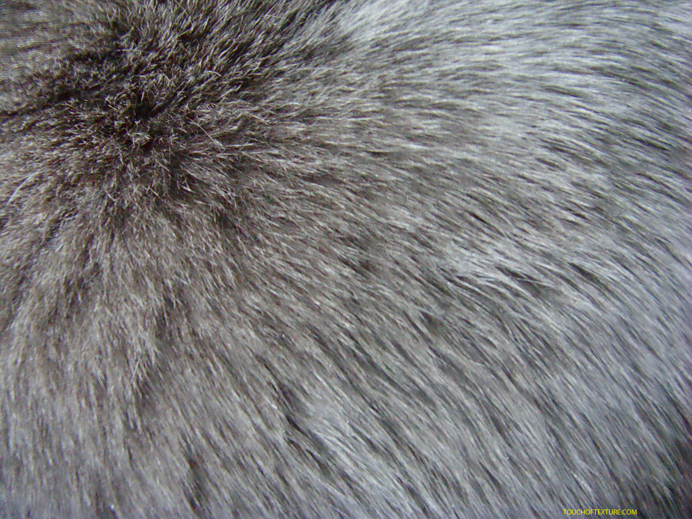  , skin, texture fur, wolf fur texture background, background