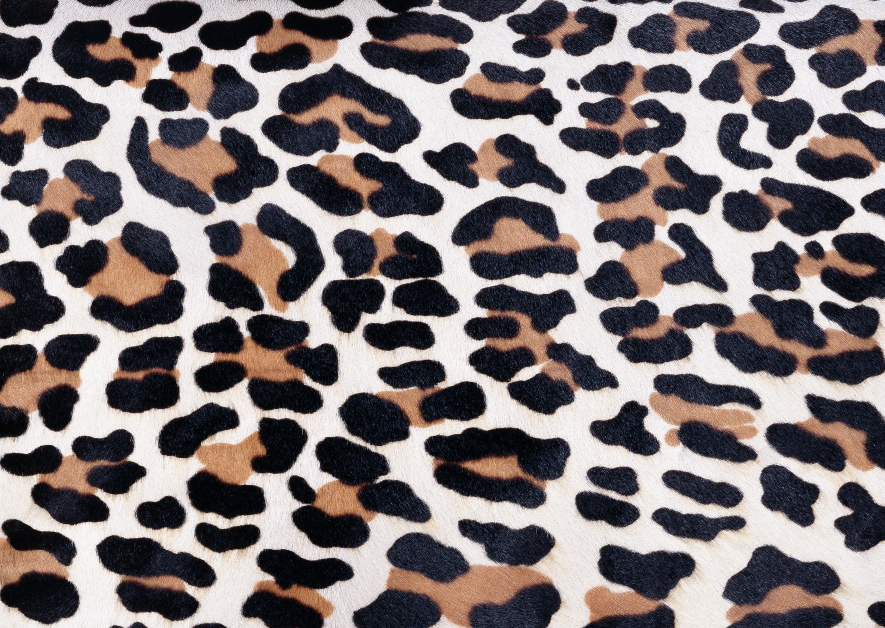Leopard fur texture background image