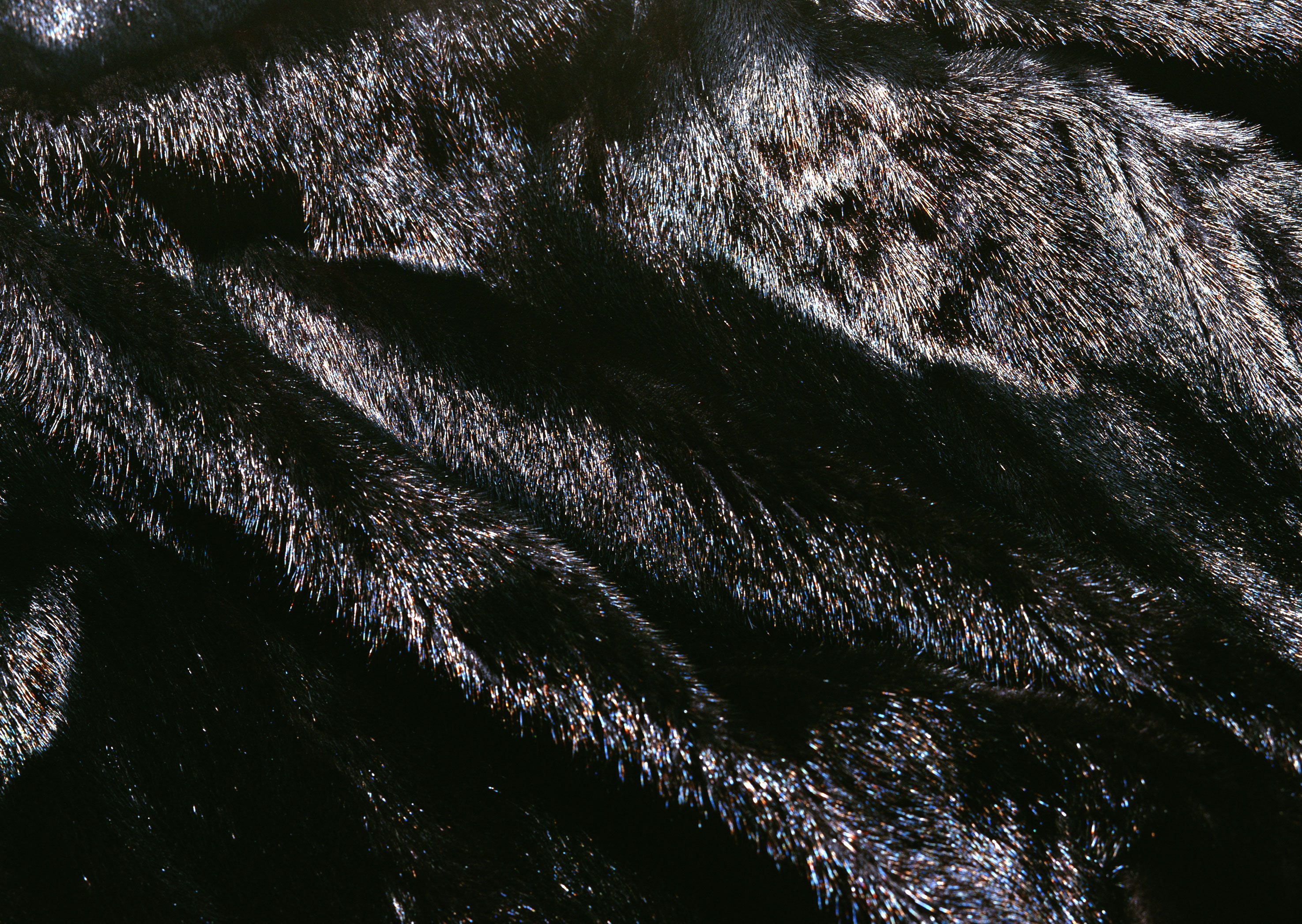 Black fur texture background image