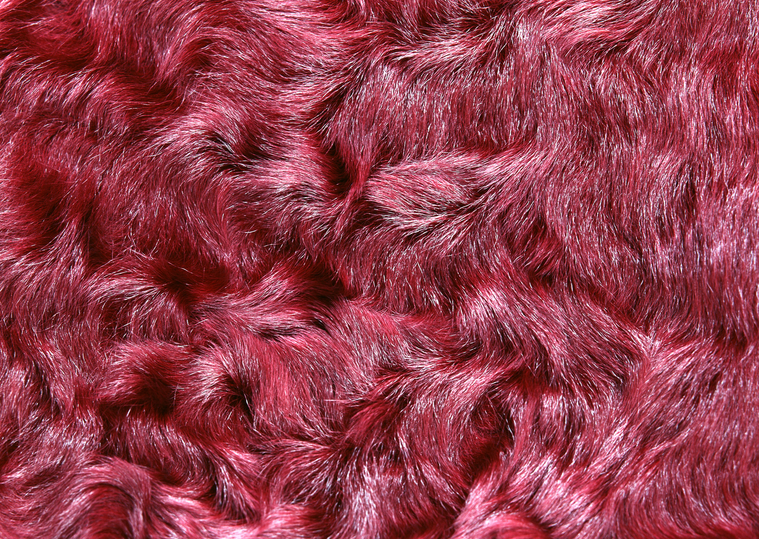 Pink fur texture background image