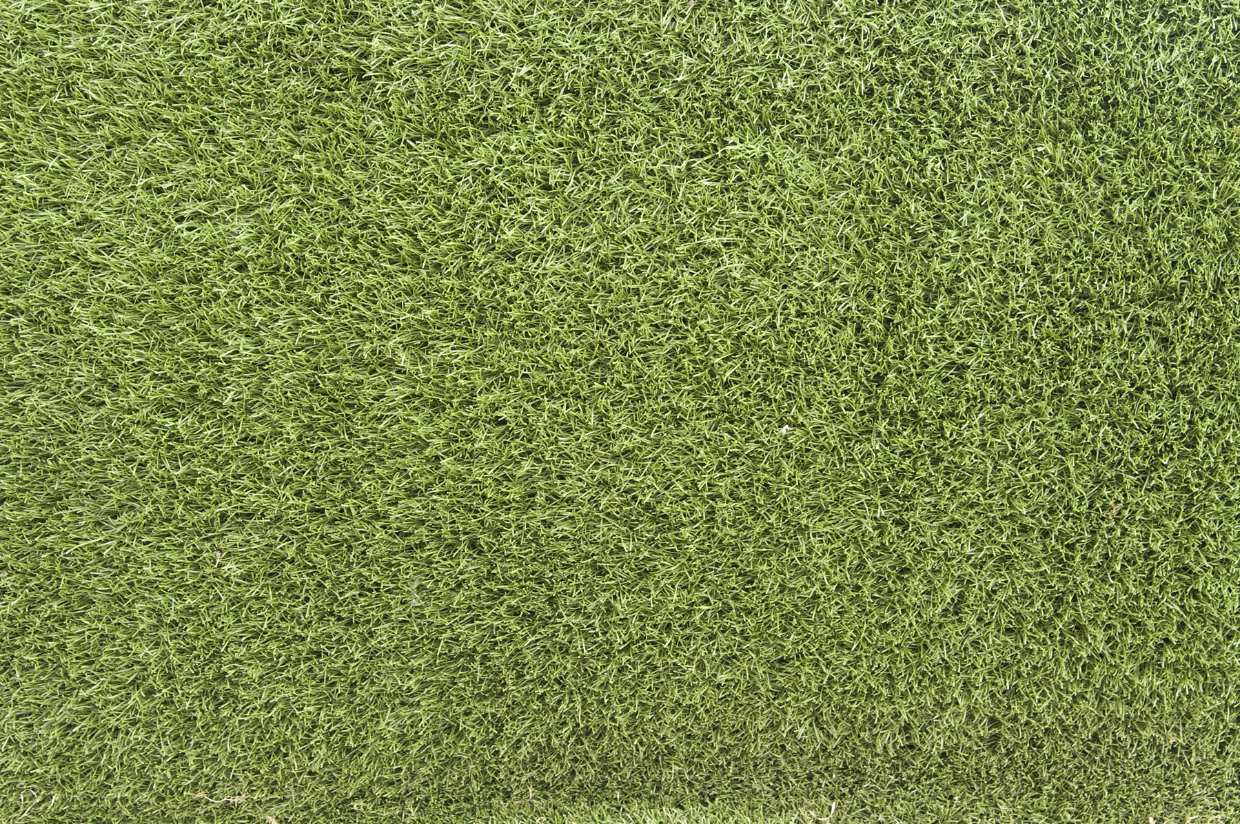 green grass, background, texture, download photo, green grass texture