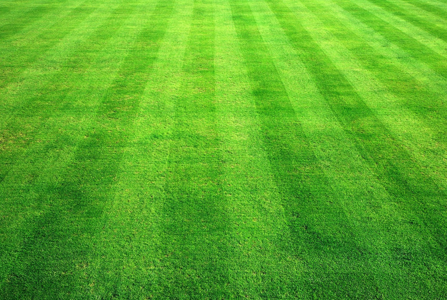 gridiron, green grass, background, texture, download photo, green grass texture