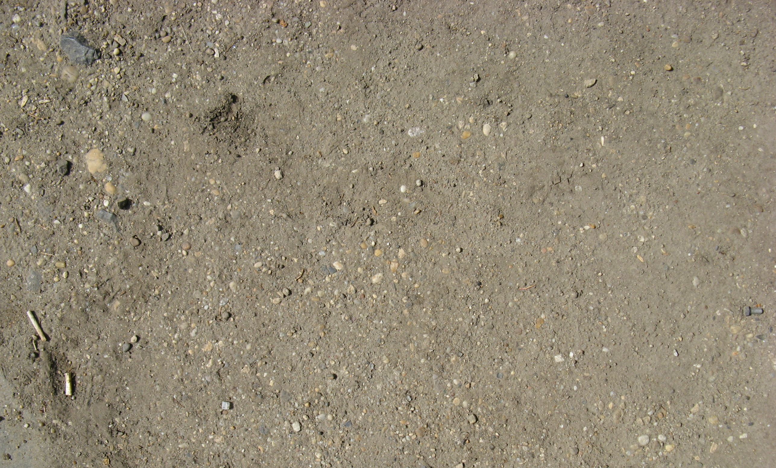 texture ground earth, download photo, background, ground texture