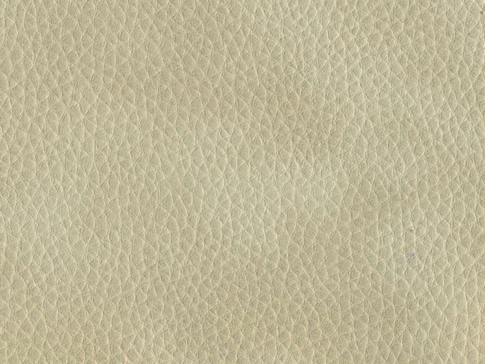 light-gray leather, texture skin, gray light leather texture, download photo, background