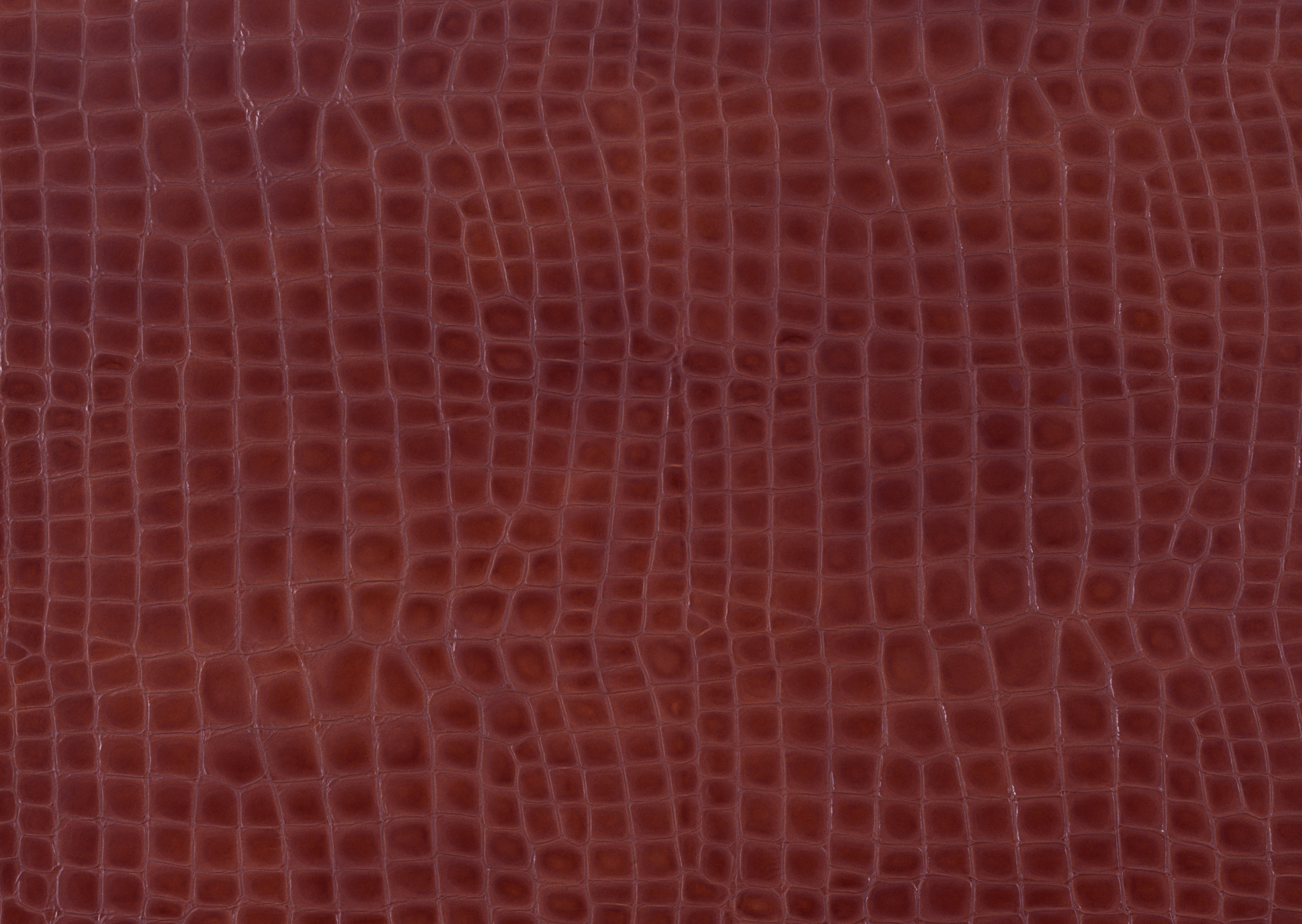 Leather texture background image