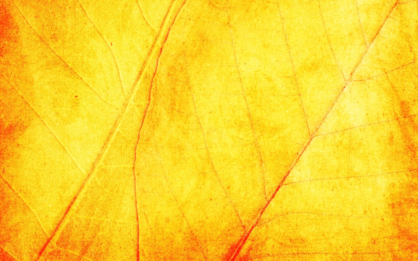 yellow dry leaves, download photo, background, texture