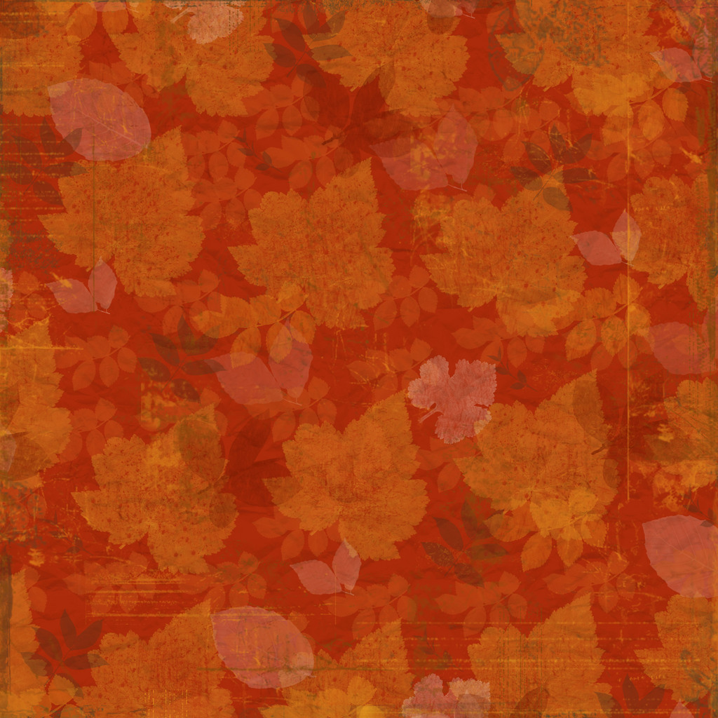 texture leaf, autumn, foliage, download photo, leaves texture