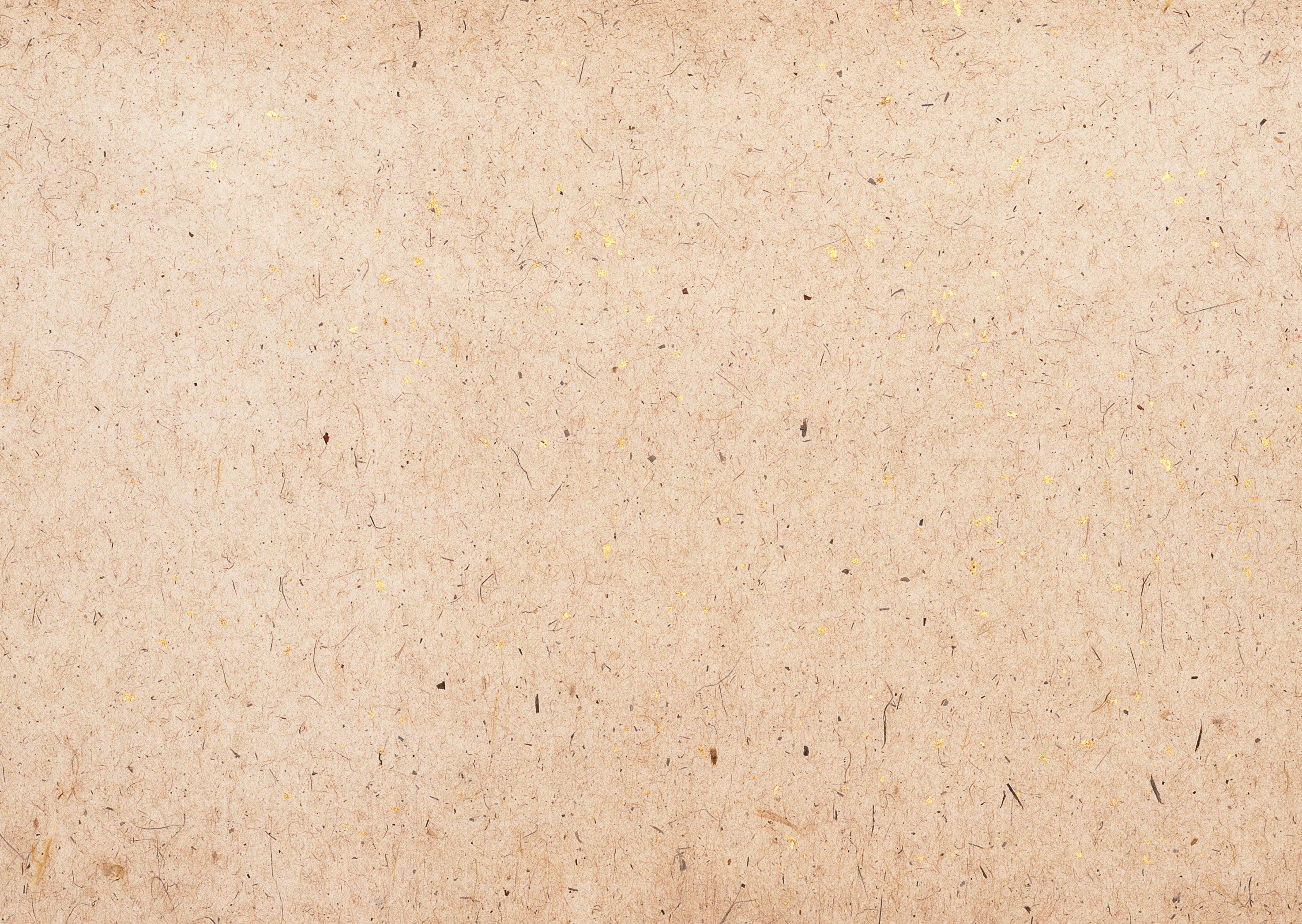 texture paper, paper texture, old battered paper, download photo, image, background, background