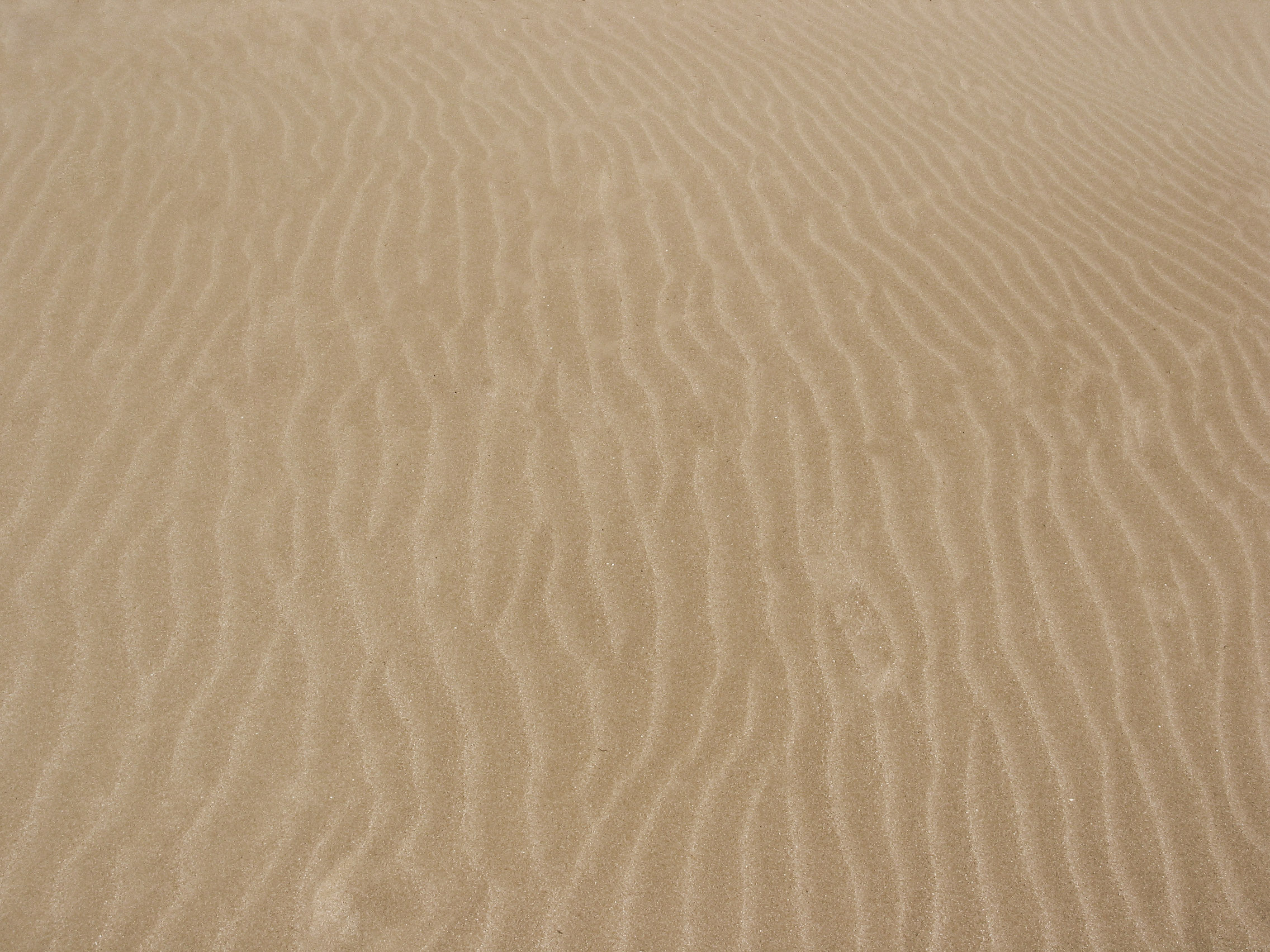 sand texture, sand, texture sand, beach, background, background, download photo, sand