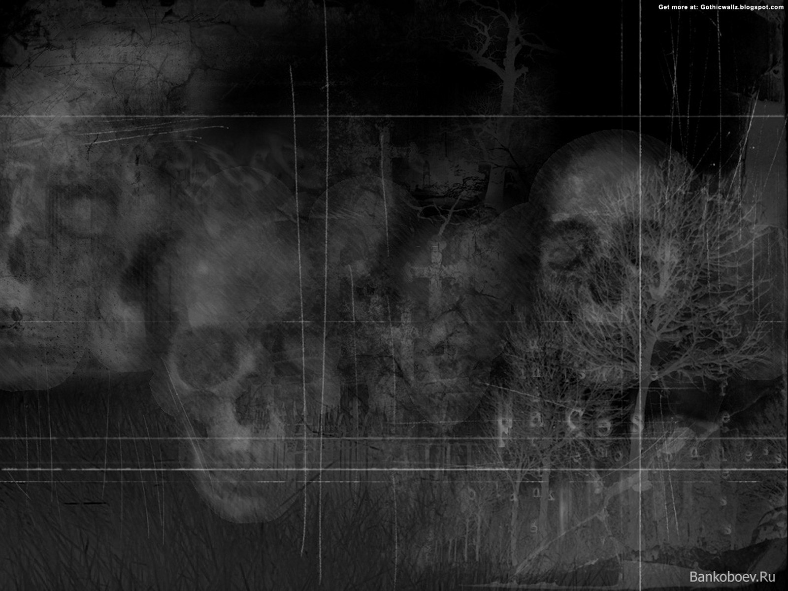 skulland bones, background, texture, photo, skull and bones texture background