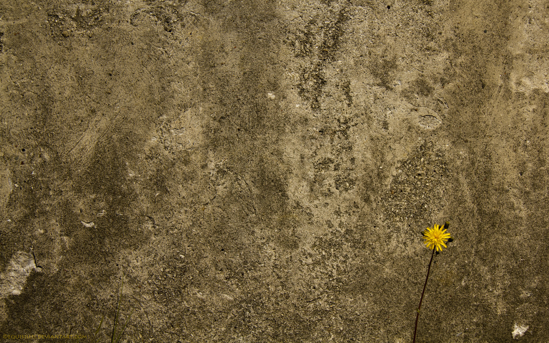 texture background, wall stone, stone , download photo