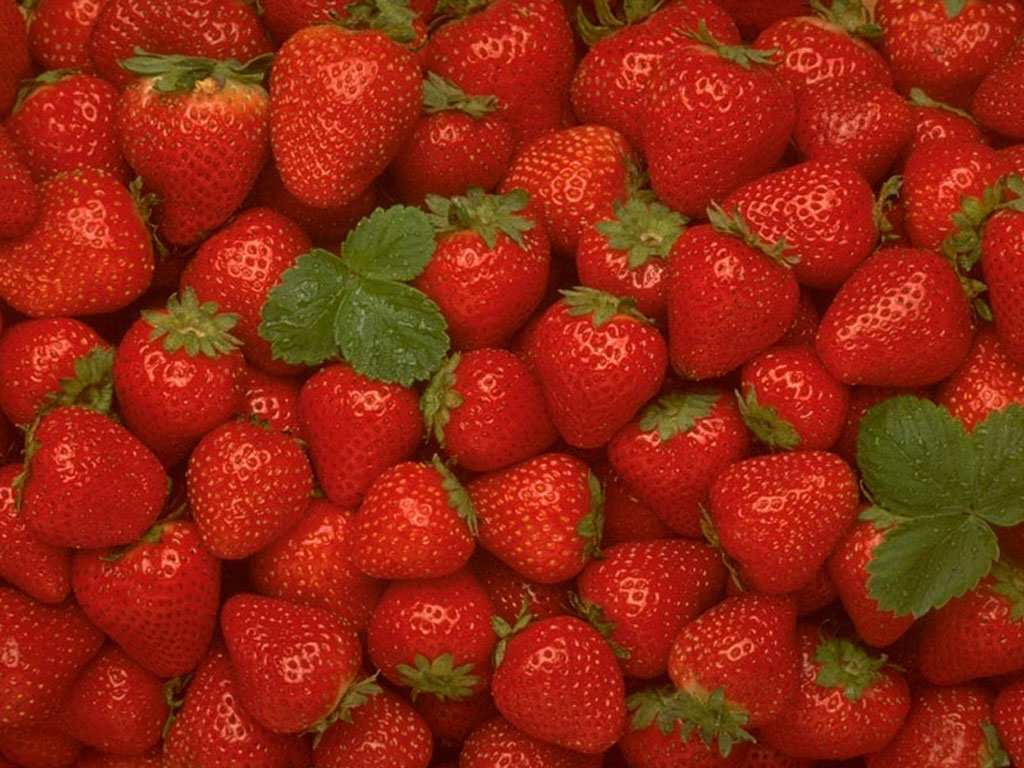 strawberries, strawberry texture, download photo, texture, background for website