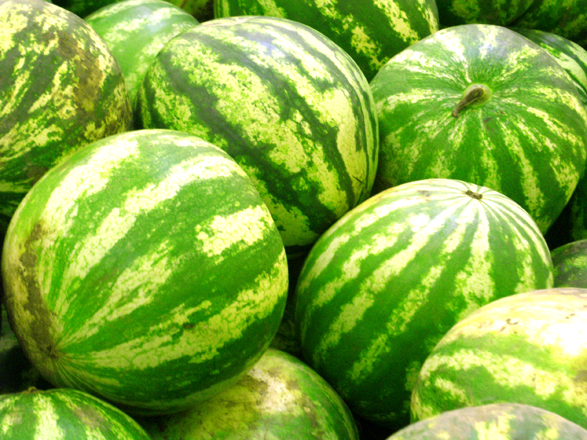 watermelons, download photo, texture, background for website, watermelon texture background