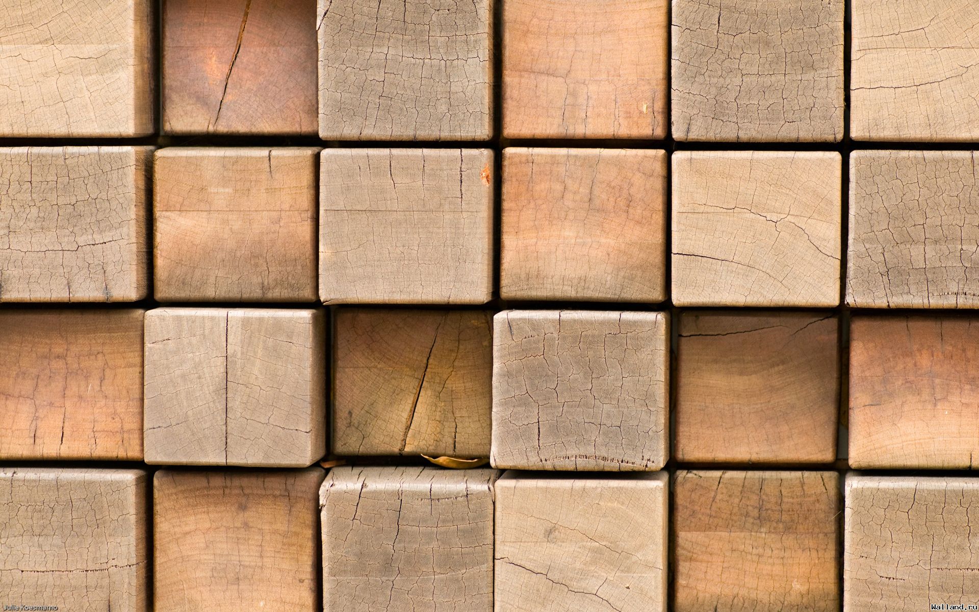 wood, tree wood, floor, planking, download photo, background